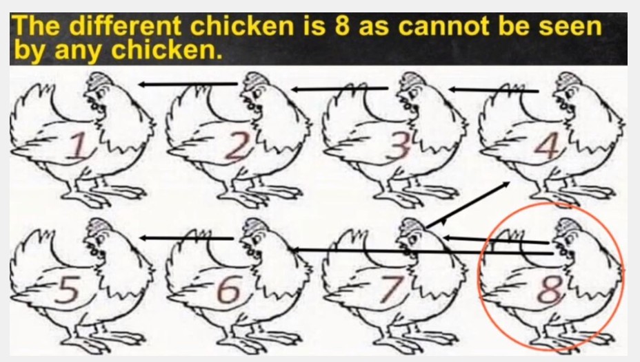 4. There’s an additional feather around the neck of the sixth fowl.